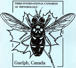 ICD3 logo